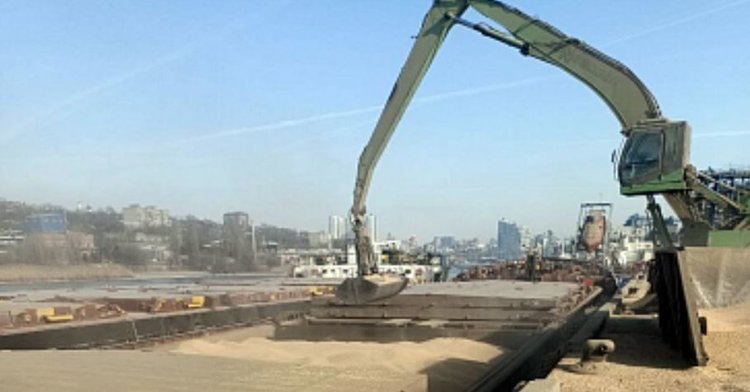    Какие страны закупили больше всего ростовского зерна с начала 2025 года