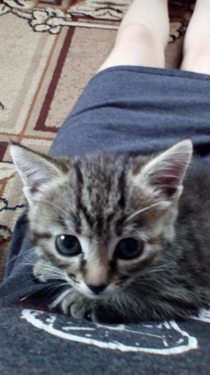 Детское фото Масяни