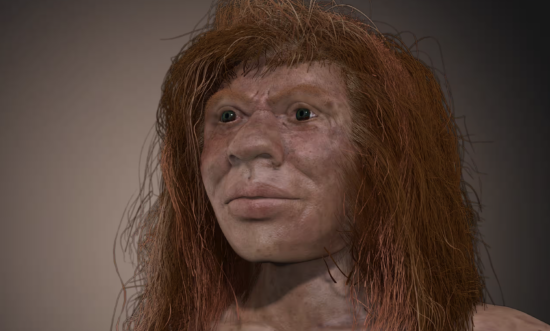 Денисовец. Фото: Яндекс картинки