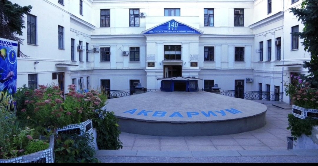 Фото взято из открытых источников