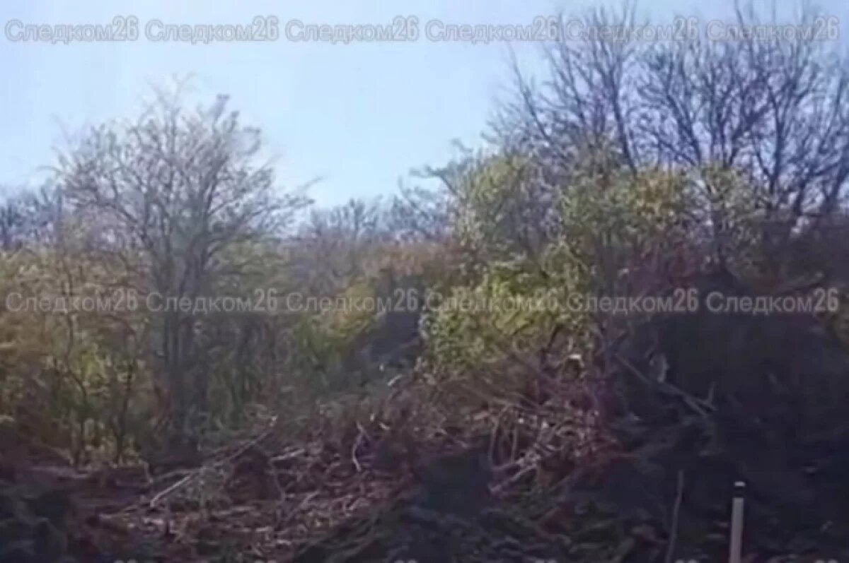    Следователи на Ставрополье проверяют вырубку деревьев возле заповедника