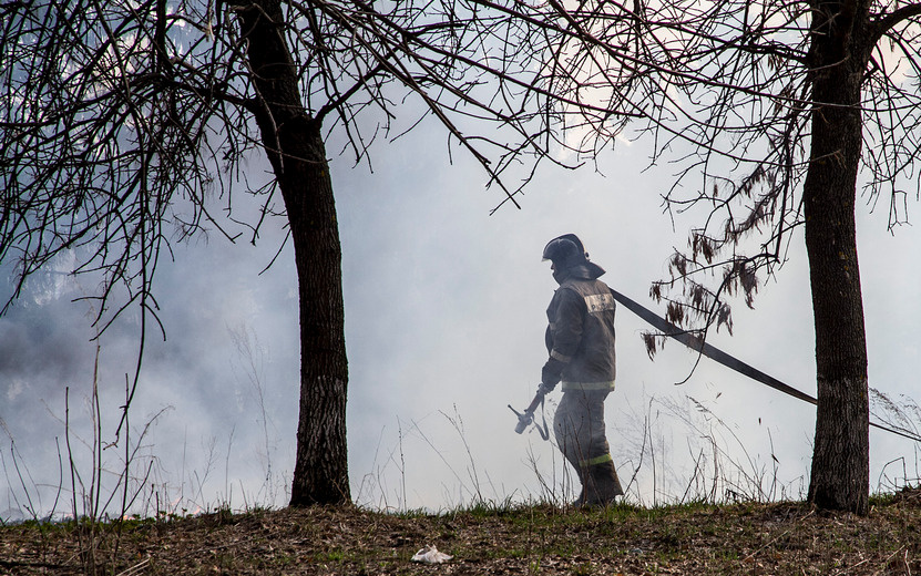    Ландшафтный пожар перекинулся на садовые дома в Удмуртии