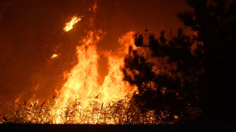Фото: Олег Харсеев / Коммерсантъ