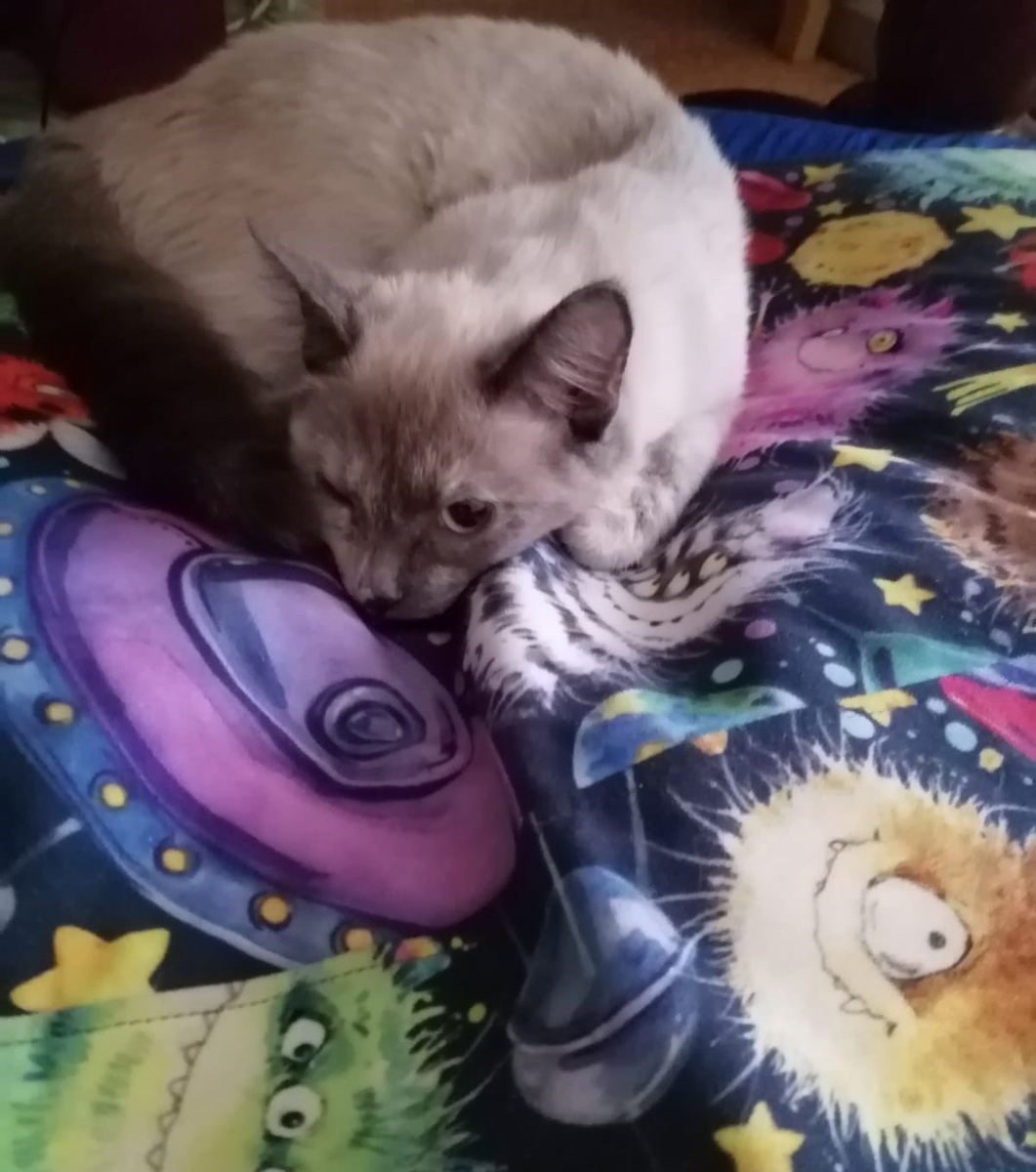 Фото автора 