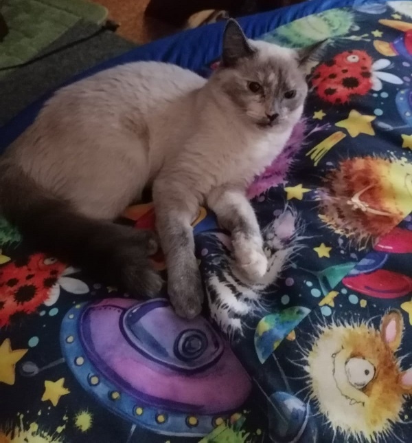 фото автора 