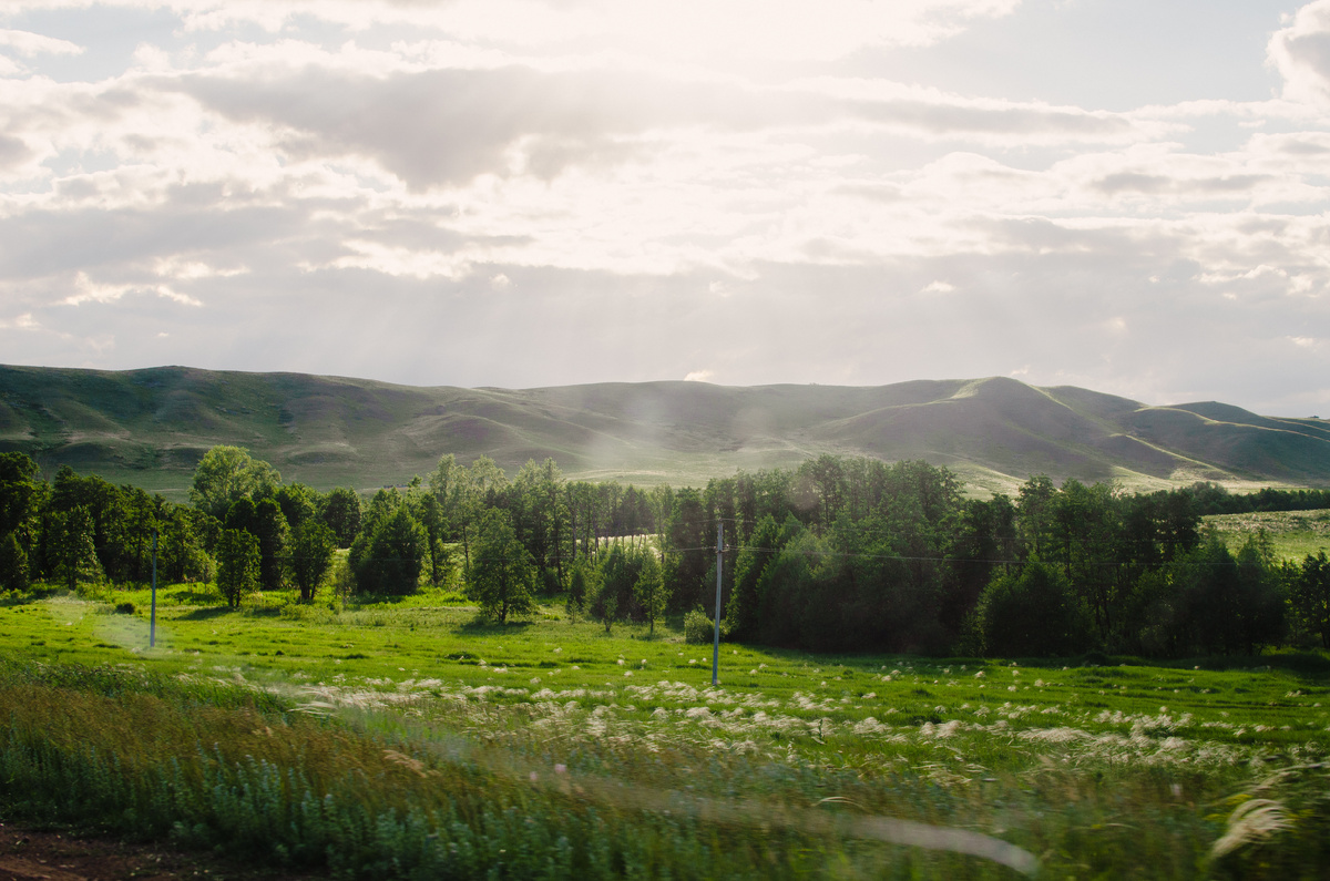 Природа. Лето. Солнце. Счастье