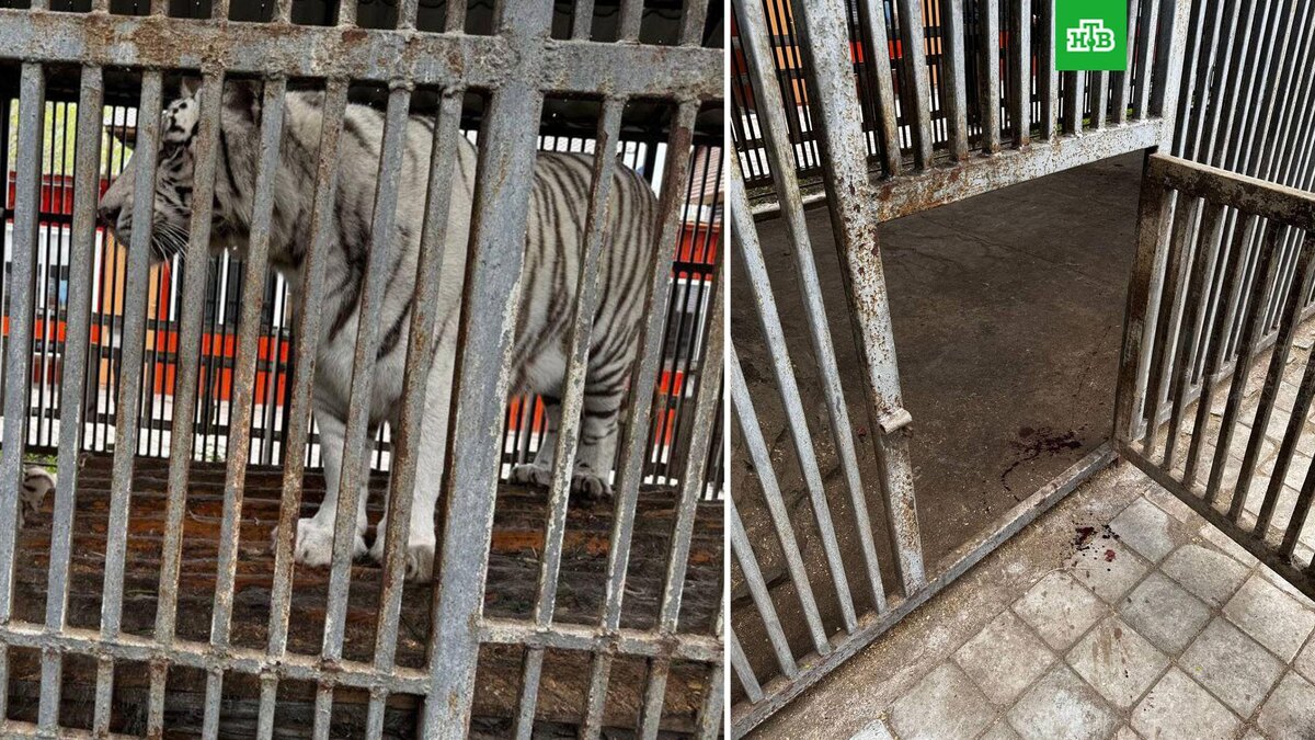    Фото: mariupol_online24 / t.me