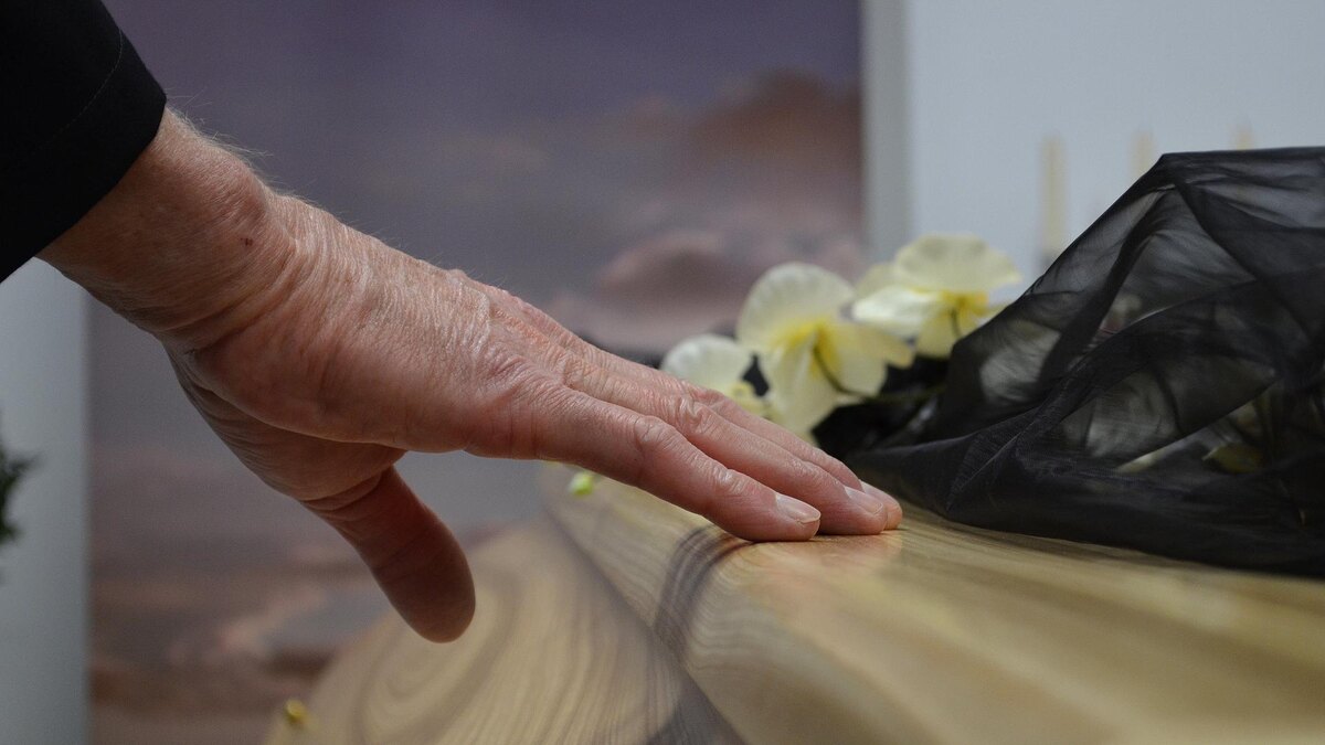    Фото: pexels.com