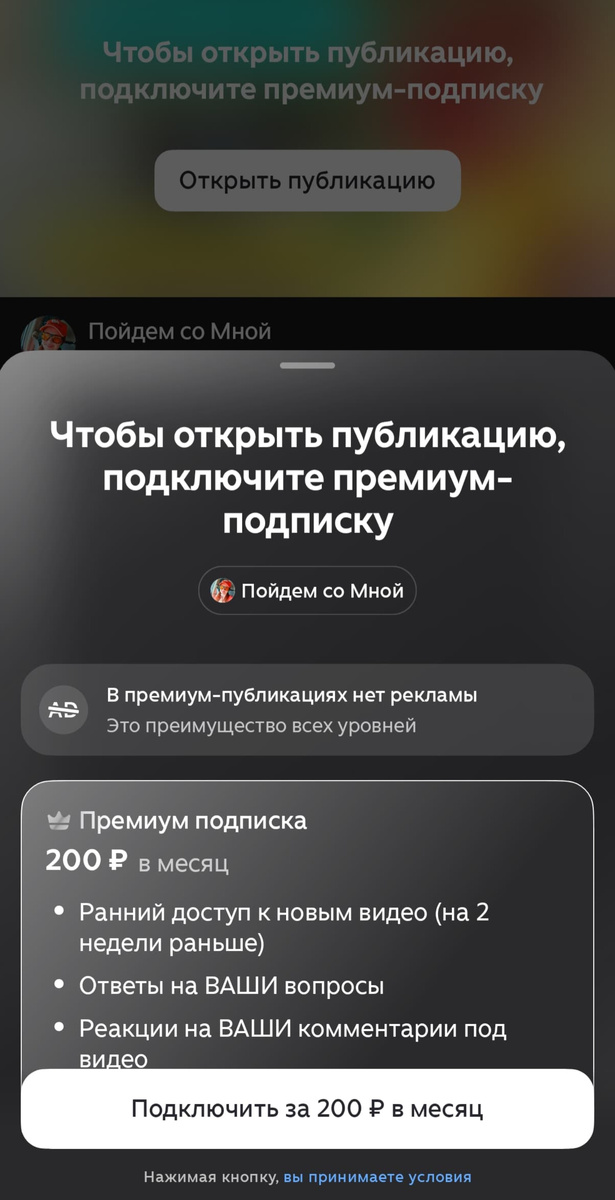 Премиум подписка на Дзен канал Пойдем со Мной