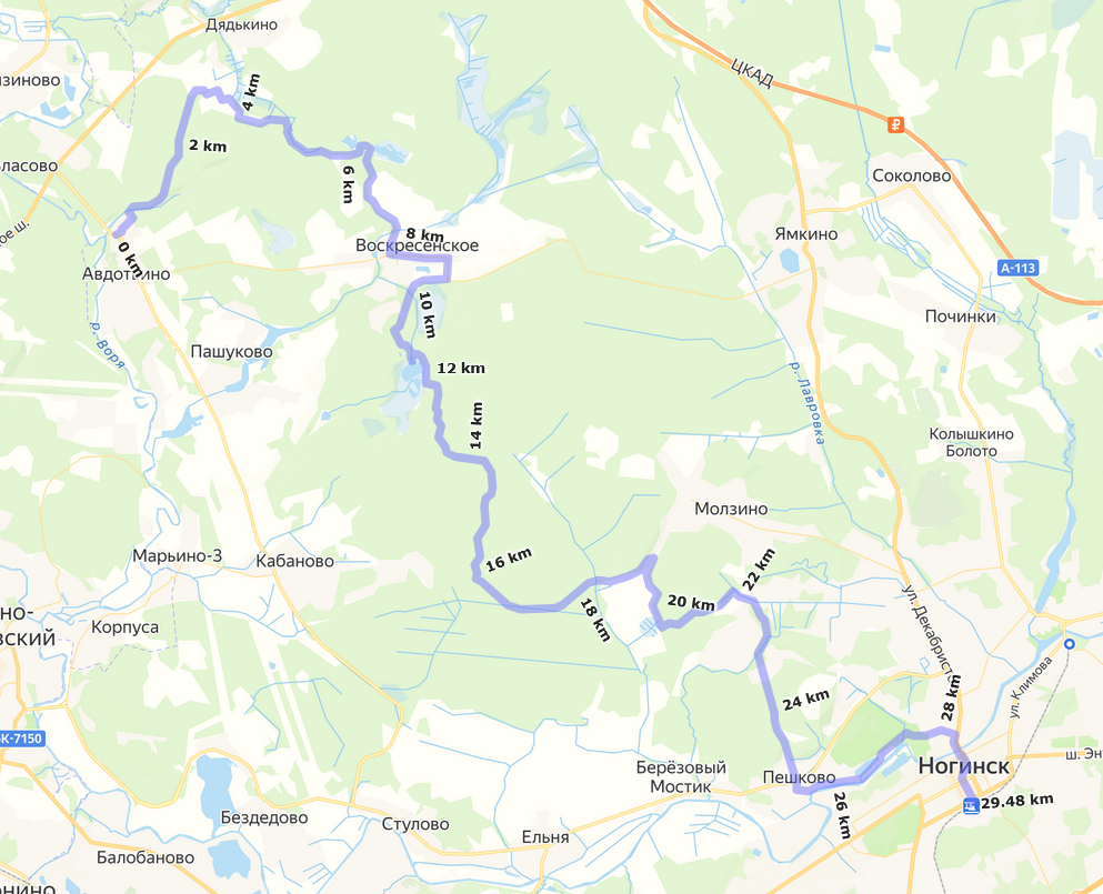 Маршрут RuTrail Авдотьино — Ногинск, 29 км