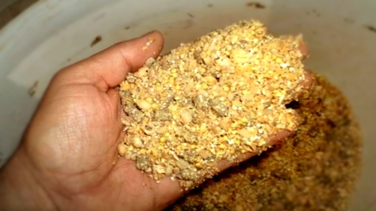 Каша для фидера: как я варю пшено и горох