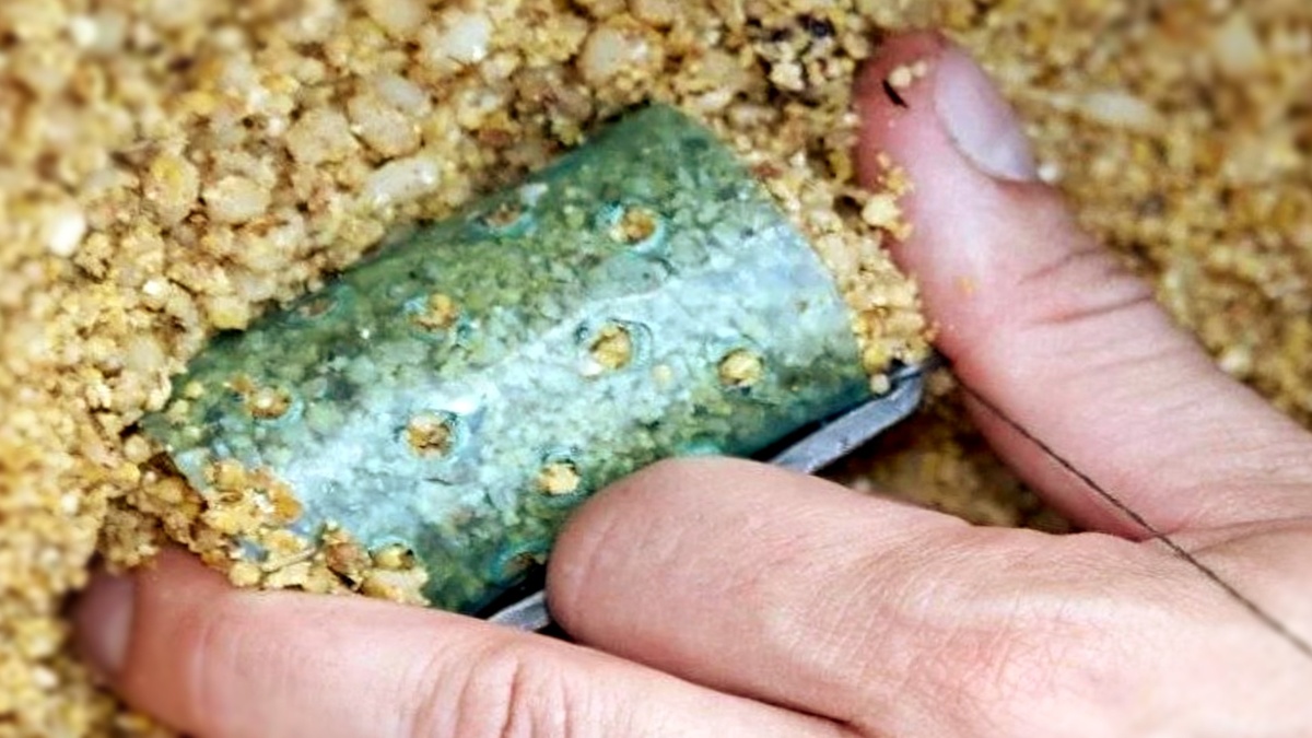 Каша для фидера: как я варю пшено и горох