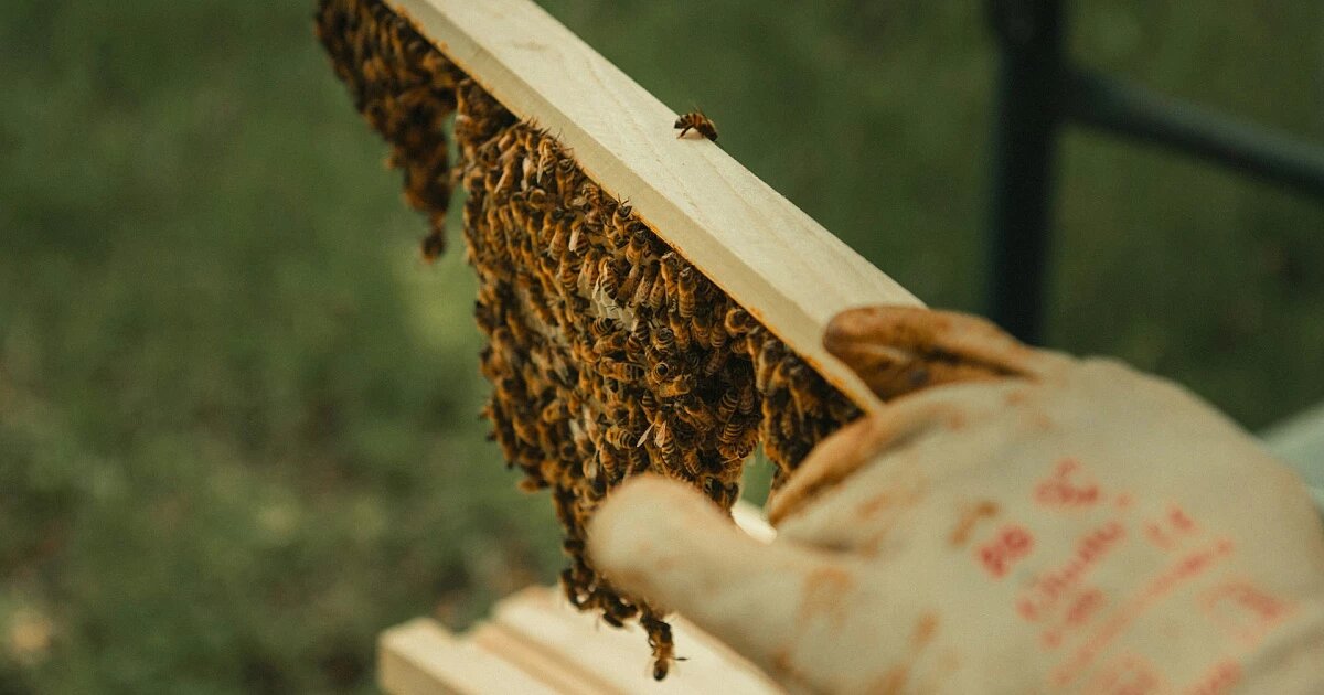 Фото: paolo tognoni / Unsplash