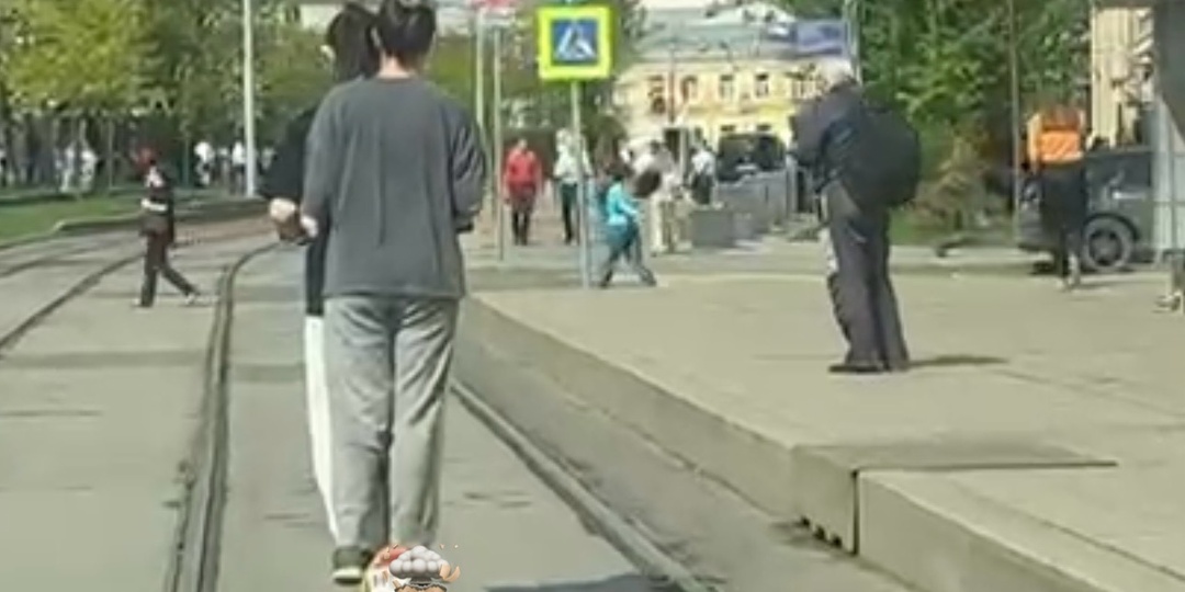 Самокаты в городе: кто следит за безопасностью? Или все же – дуракам закон не писан???