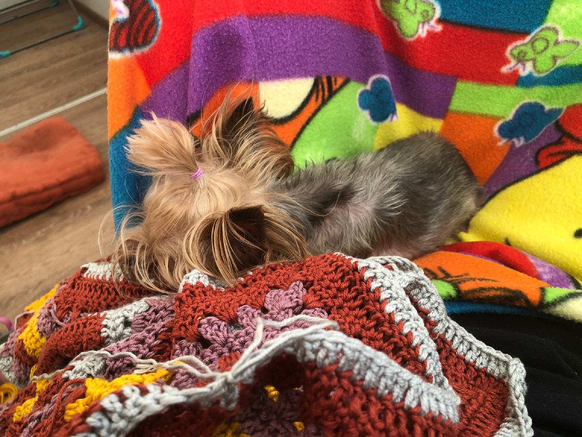 Любимый Нюсин проект