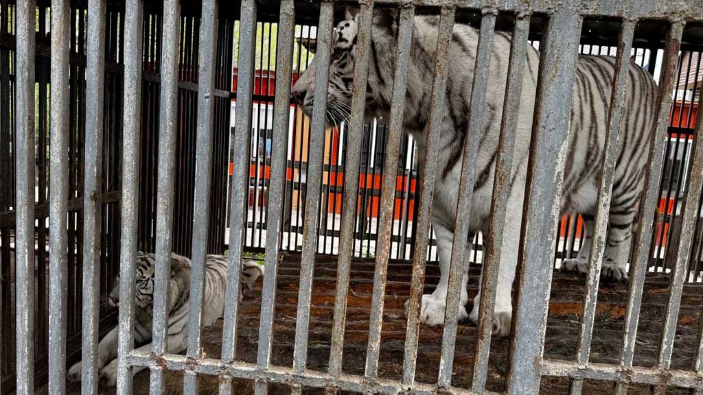    Фото: СУ СК РФ по ДНР