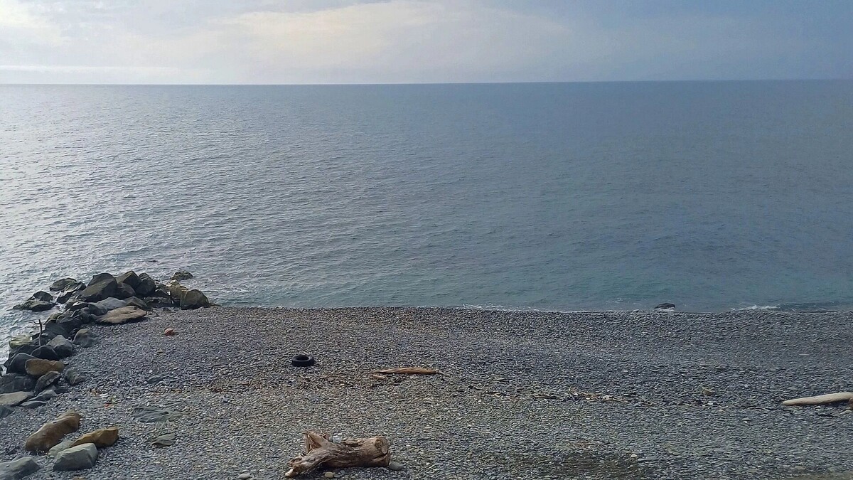     Автор: KubanPress