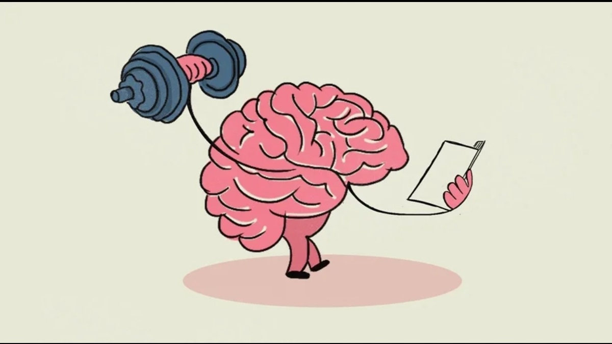 Взято из открытой сети.