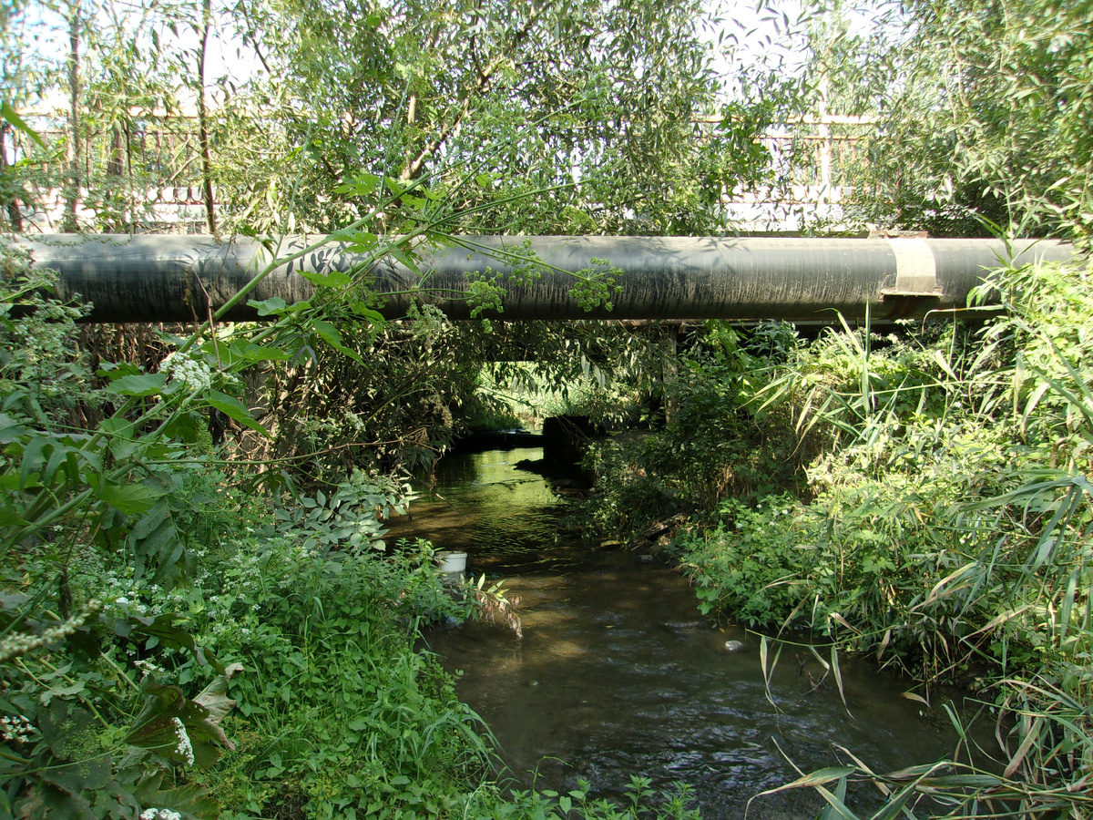 Фото из общего доступа в интернете