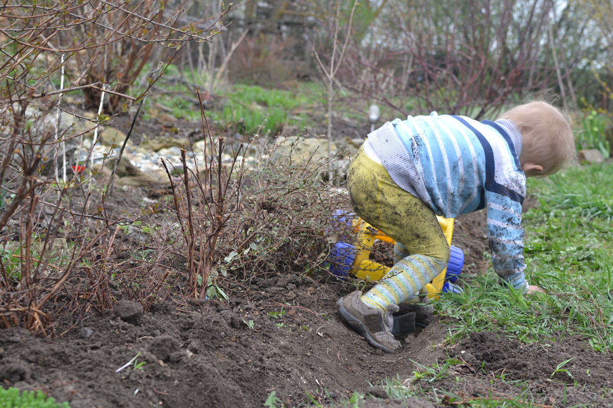 Главный помощник проверяет надежность границы