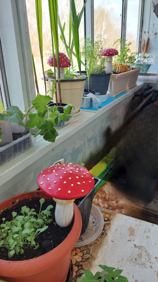 На балконный бардак не смотрим (ремонт дело грязное), смотрим только на мухоморы)))