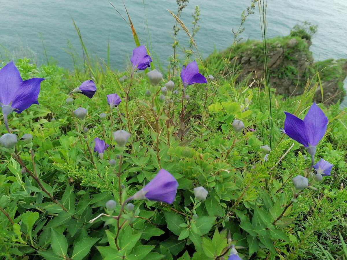 Приморский берег. Фото автора.