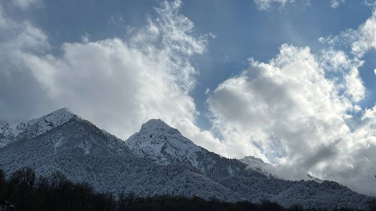    Фото: телеканал «Краснодар»