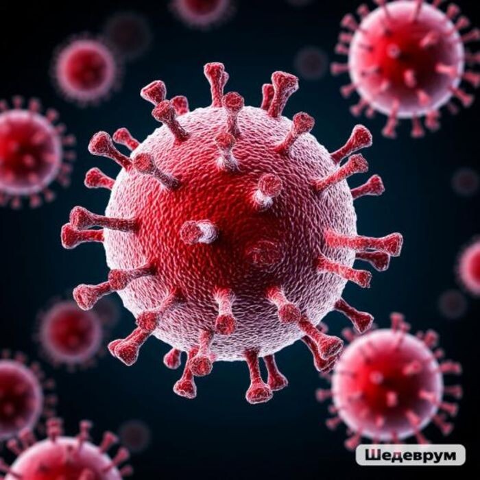 Источник фото: Шедеврум