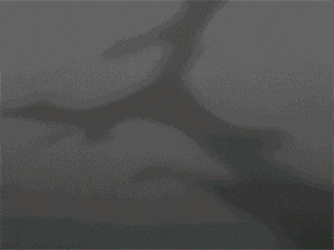 -4