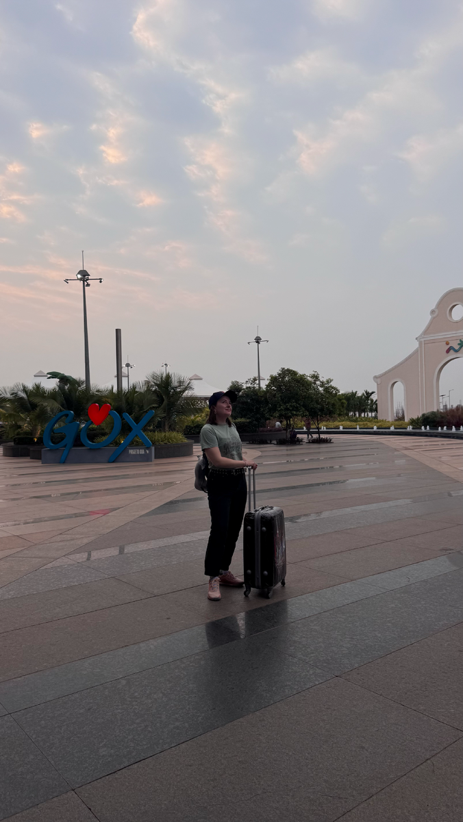 Возле аэропорта в Гоа