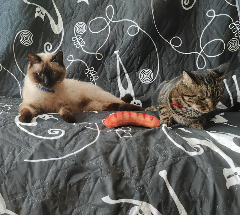 Кажется, у Кайсы уже аллергия на Нику. Ника не понимает, как можно отказаться от игры с ней.