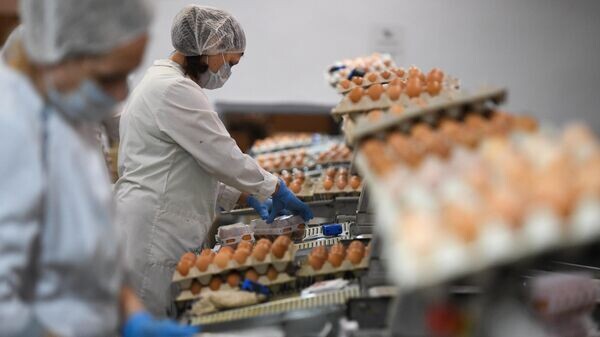    © Sputnik / Александр Кряжев