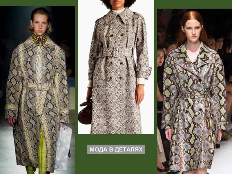 Фото из Сети