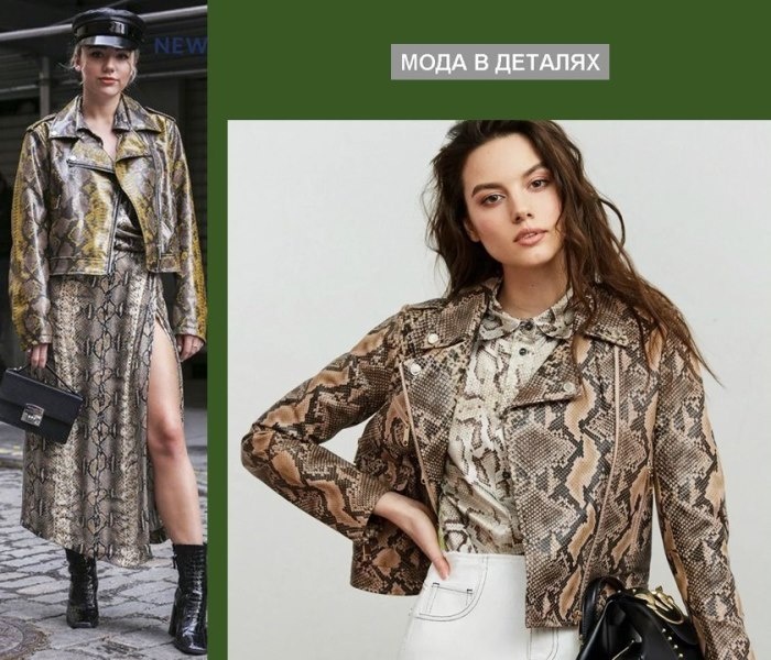 Фото из Сети