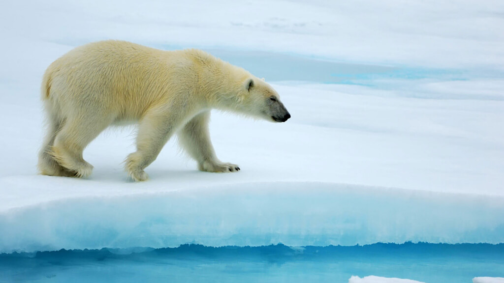    Фото: пресс-служба Минприроды России