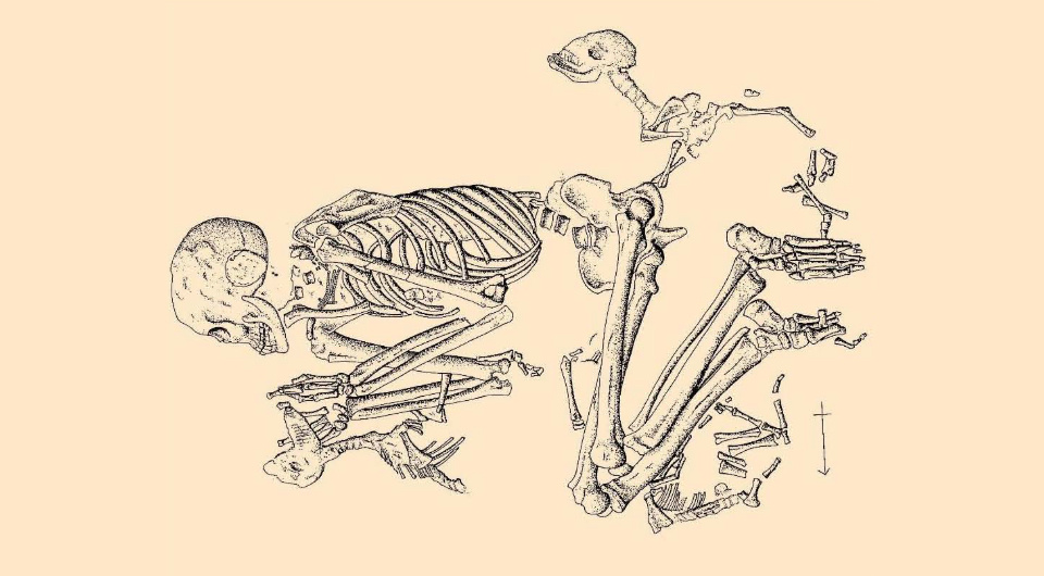   Benjamin Mutin et al. / Scientific Reports, 2025