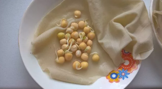 Ключевые слова: подготовка семян к посадке, как ускорить прорастание