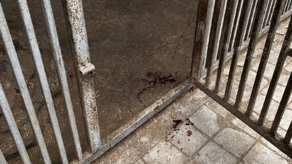    Фото: Telegram-канал РЕН ТВ