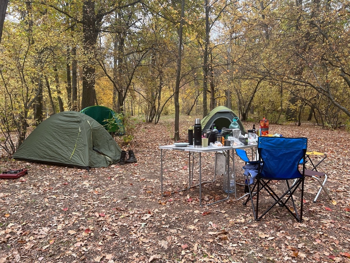    Фото: архив progorod