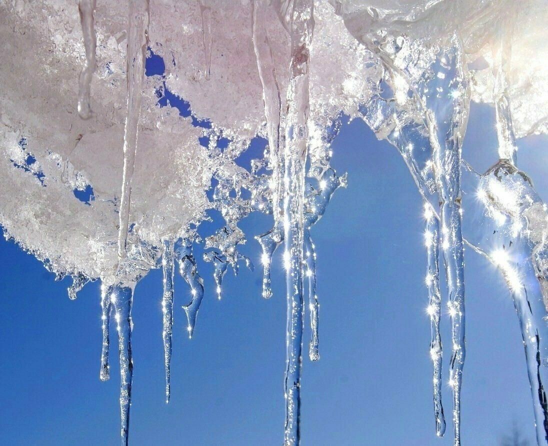 Фото взято из интернета.