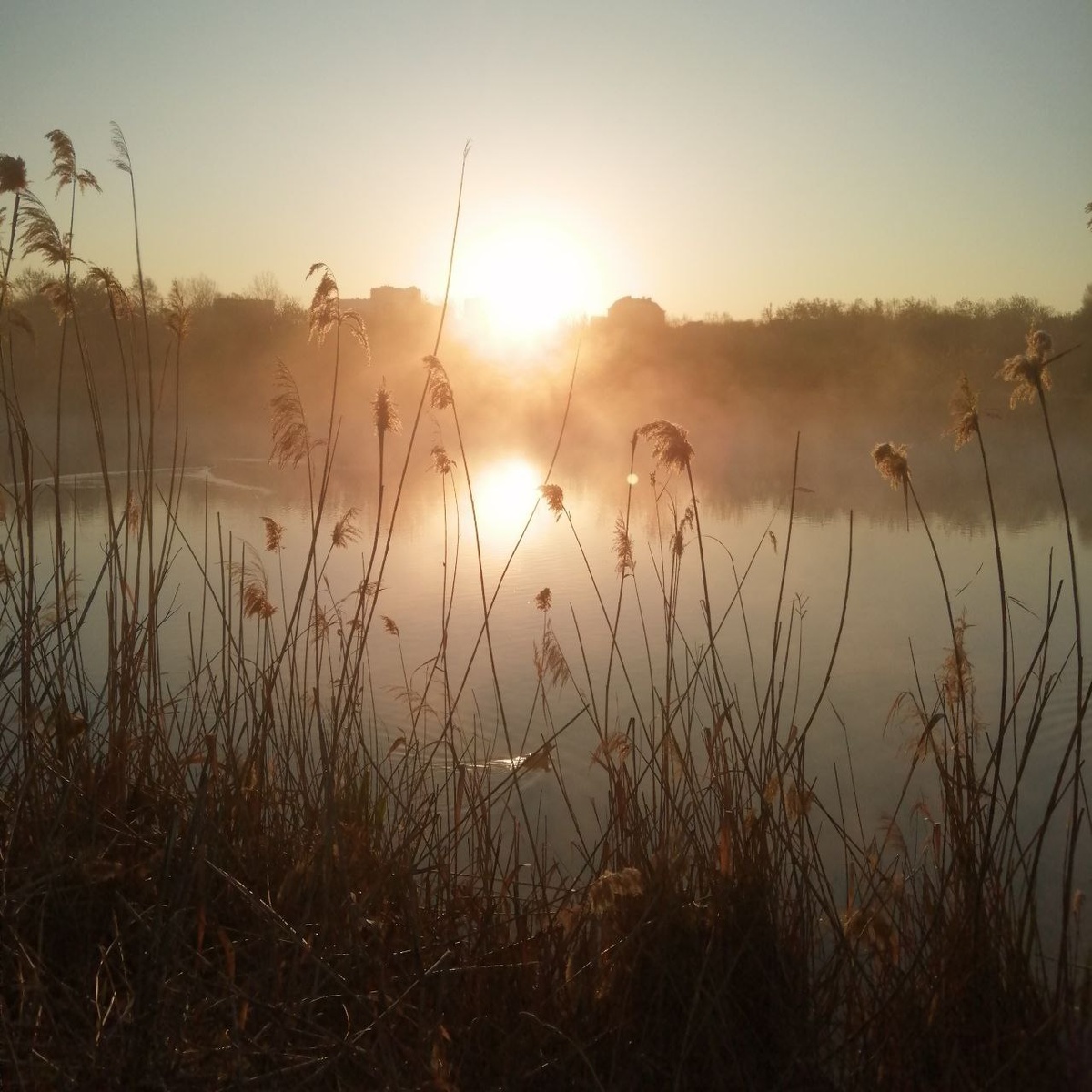 Восход из Ботанического сада у реки. 