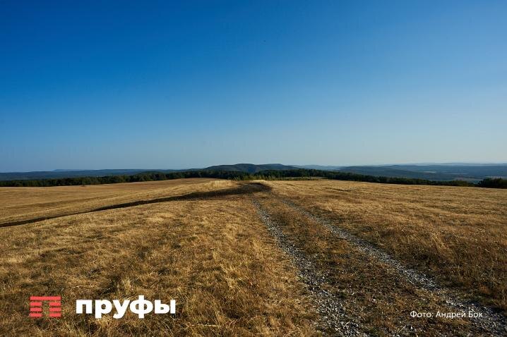    Фото: Пруфы.рф