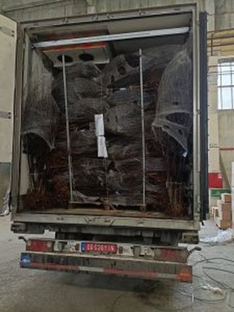     Европейские питомники отправили миллион саженцев в Орловскую область
