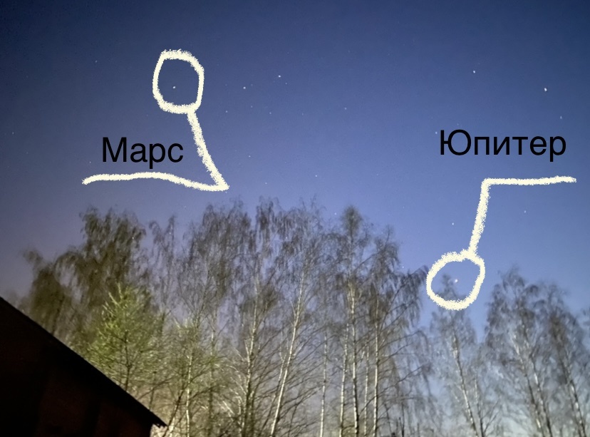 Вот тут они