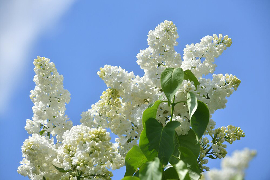    ©Агентство городских новостей "Москва"