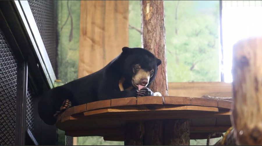    © Московский зоопарк