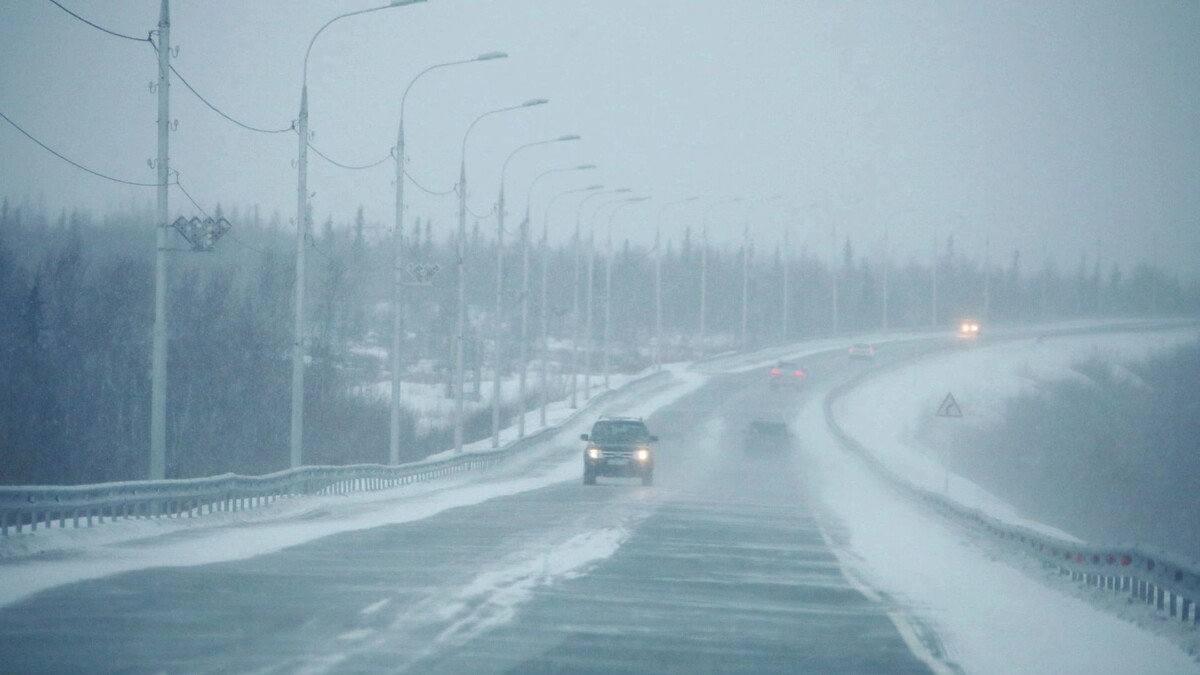    Фото: Василий Петров/«Ямал-Медиа»