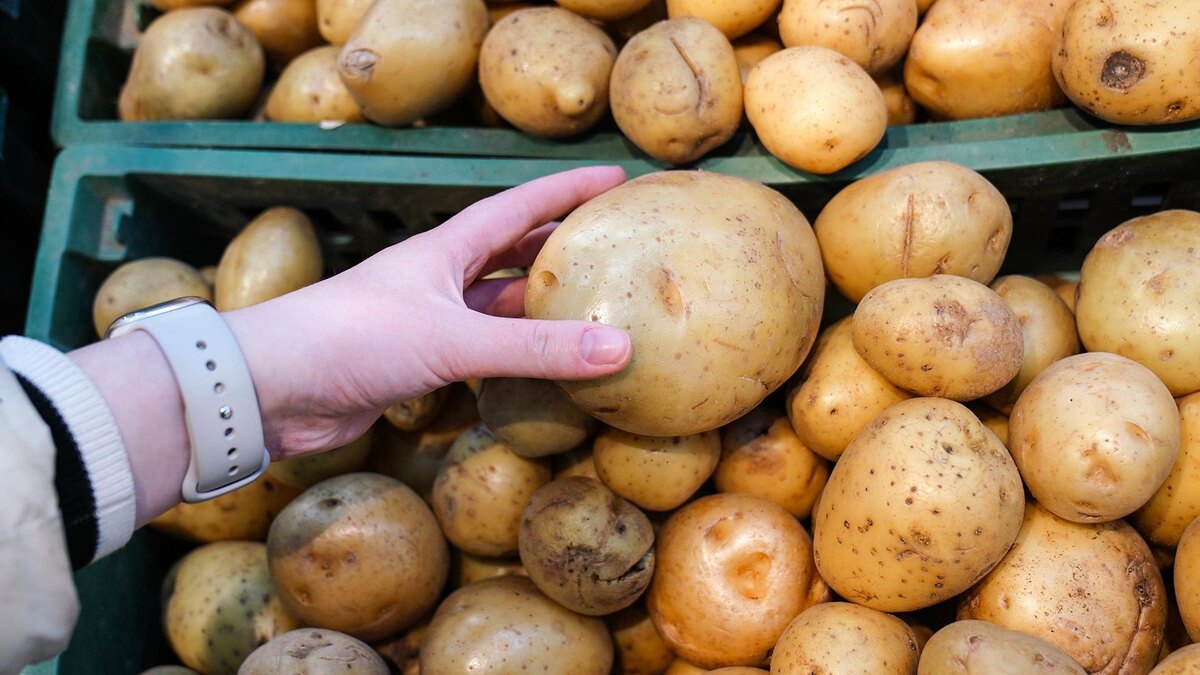    Фото: ИЗВЕСТИЯ/Анна Селина