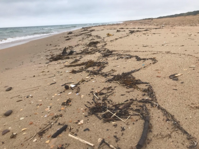    оперативный штаб Краснодарского края