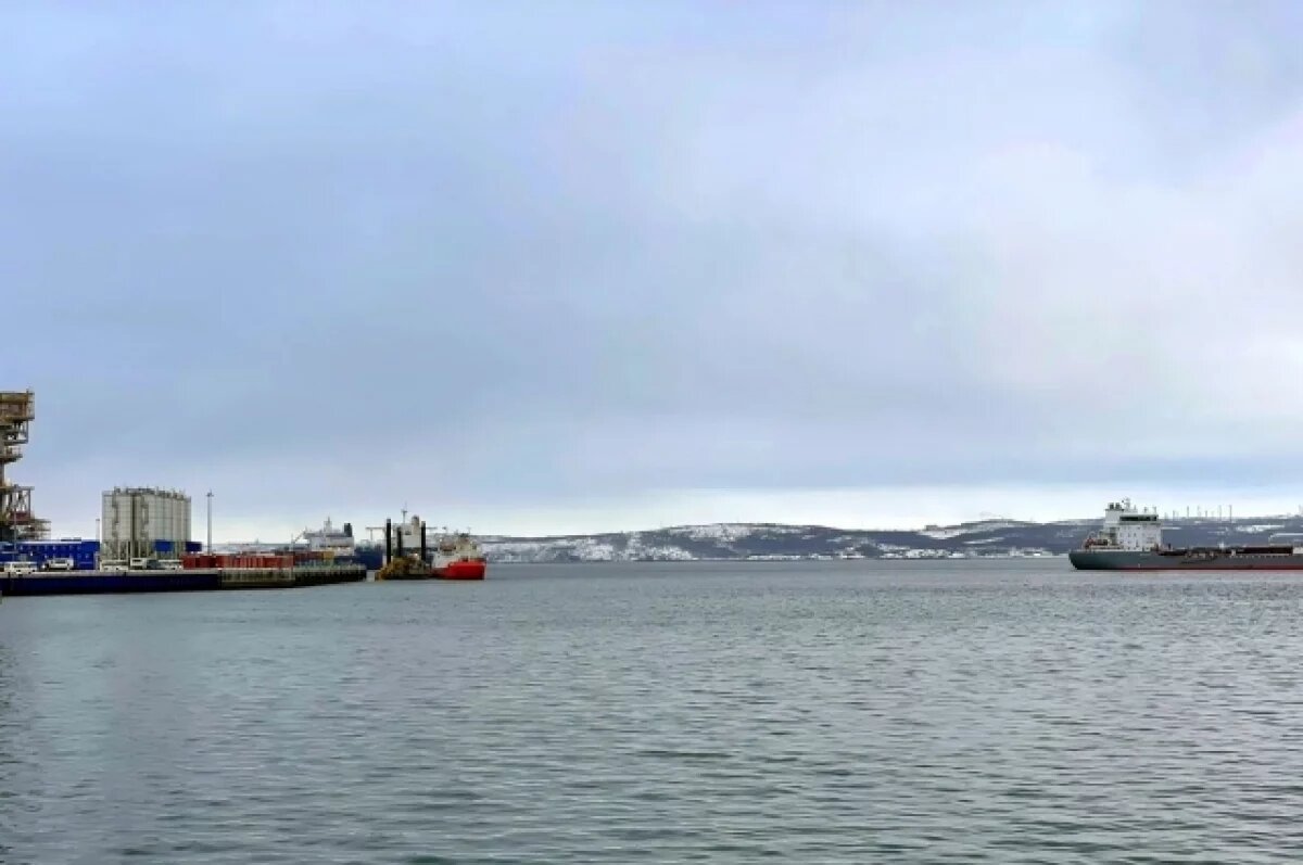    Аналитик Мильчакова рассказала о преимуществах СПГ на мурманских заводах